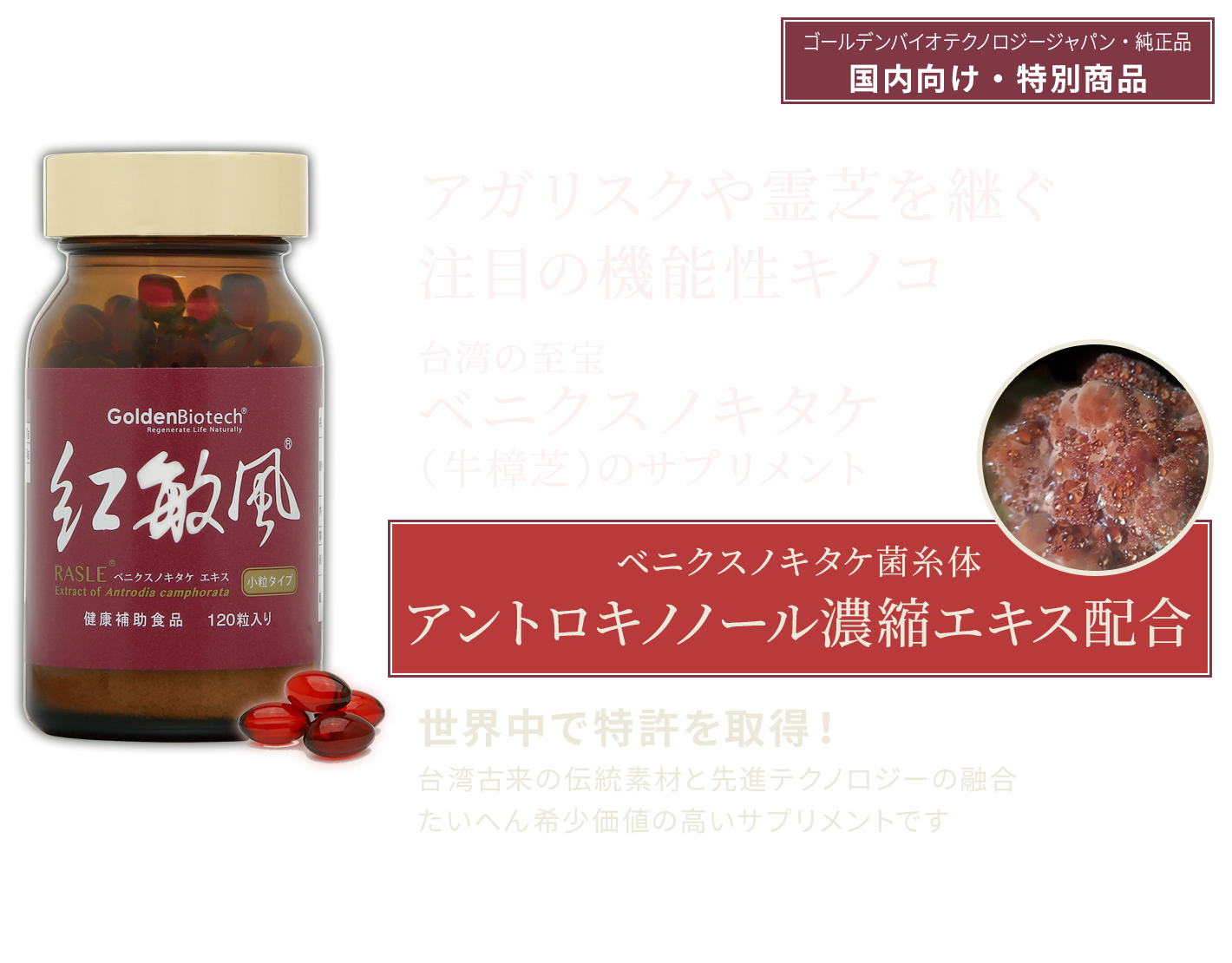 ベニクスノキタケ サプリ 180粒 アントロキノノール 紅寿源 - 健康食品